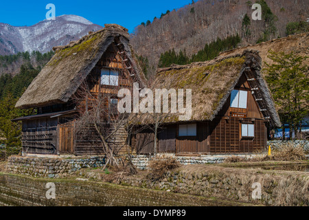 Traditionelle Bauernhäuser in der ländlichen Dorf Shirakawago, Gifu Präfektur, Japan Stockfoto