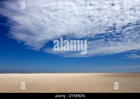Wattenmeer bei Ebbe an der Wadden Sea National Park, Deutschland Stockfoto