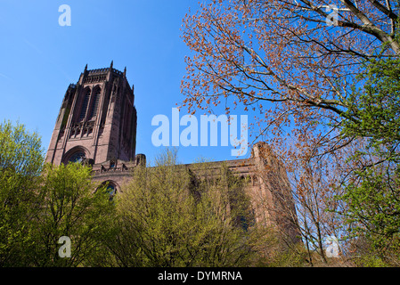 Ein Blick auf Liverpool anglikanische Kathedrale von St. James Friedhof. Stockfoto