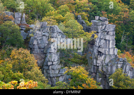 Blick über das Bodetal / Bode-Tal in die Harzer Berge, Thale, Sachsen-Anhalt, Deutschland Stockfoto