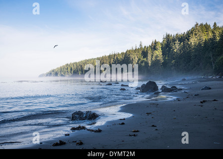 Mystic Beach, Juan De Fuca Provincial Park, Vancouver Island, British Columbia, Kanada Stockfoto