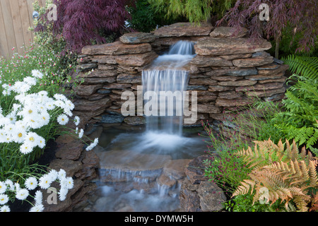 Garten mit einem Wasserfall Wasserfall Wasserfall kleine Teich Trockenmauer felsige Wasserfälle in einem Garten Gartenarbeit Acer Trees Acers Farns UK Stockfoto