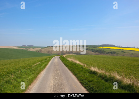 Eine kleine Landstraße läuft durch die landwirtschaftliche Landschaft von Burdale auf die Yorkshire Wolds im Frühling Stockfoto