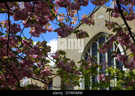 St. Marien Kirche Walthamstow Village Stockfoto