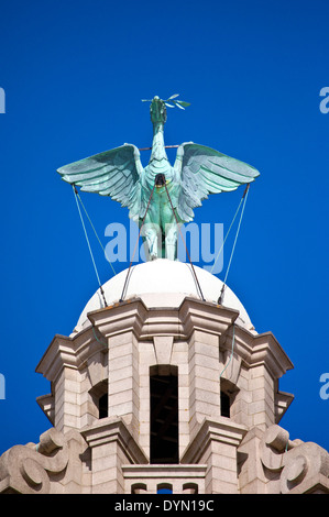 Eine Leber-Vogel-Statue thront Ontop des Royal Liver Building in Liverpool. Stockfoto