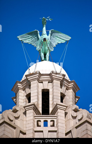 Eine Leber-Vogel-Statue thront Ontop des Royal Liver Building in Liverpool. Stockfoto