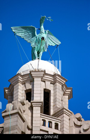 Eine Leber-Vogel-Statue thront Ontop des Royal Liver Building in Liverpool. Stockfoto