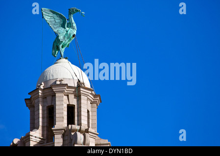 Eine Leber-Vogel-Statue thront Ontop des Royal Liver Building in Liverpool. Stockfoto