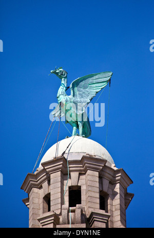 Eine Leber-Vogel-Statue thront Ontop des Royal Liver Building in Liverpool. Stockfoto