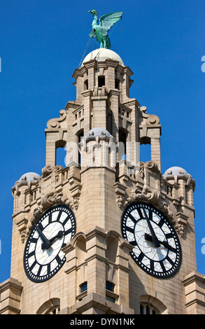 Einer der Türme des Royal Liver Building in Liverpool, England. Stockfoto