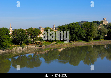 Beaucaire Burg, Bouches-du-Rhône, Gard Handelsverträge, Provence, Frankreich Stockfoto