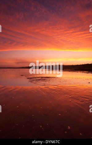 Feurige rote Sonnenuntergang über Lake Huron in Singing Sands, Bruce Peninsula National Park, Ontario, Kanada. Stockfoto