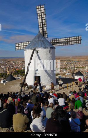 Consuegra Darstellung des Quijote während der Safran Rose Festival Toledo Provinz Route von Don Quijote Castilla-La Stockfoto
