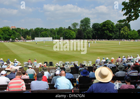 Zuschauern county Cricket, Derbyshire V Yorkshire am Queens Park, Chesterfield, Derbyshire, England am 18. Juli 2013 Stockfoto