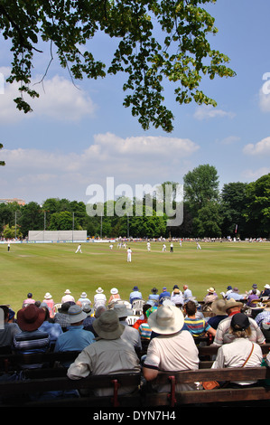 Zuschauern county Cricket, Queens Park, Chesterfield, Derbyshire V Yorkshire, Derbyshire, England am 18. Juli 2013 Stockfoto