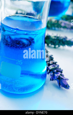 Nahaufnahme einer Flasche mit Blüten-Essenz und einem Haufen von Lavendelblüten Stockfoto