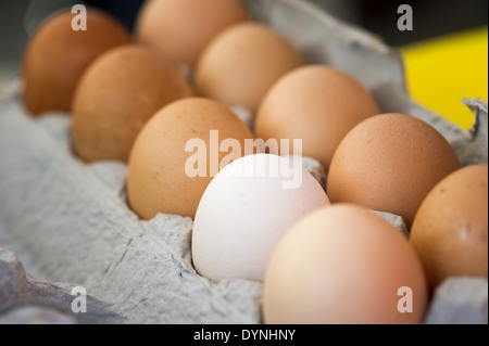 Frischen Eiern in einem Karton auf dem Waverly Bauernmarkt in Baltimore, Maryland Stockfoto