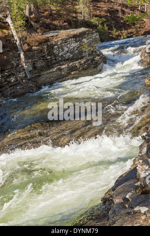 FLUSS-LUI MIT EISKALTES WASSER VOM SCHMELZENDEN SCHNEE AUF DEN BERGEN VON CAIRNGORM Stockfoto