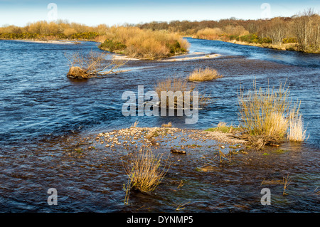 FLUSS SPEY AUFTEILUNG IN KANÄLEN IN DER NÄHE VON DAS MEER BEI SPEYMOUTH MORAY SCHOTTLAND Stockfoto