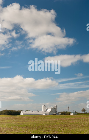 Bauernhof auf Horizontlinie Cecil County, Maryland Stockfoto