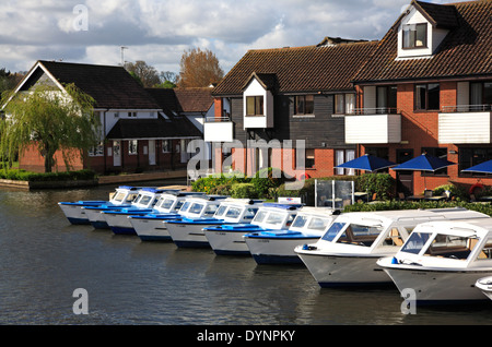 Ein Blick auf eine Reihe von Boote auf dem Fluss Bure mieten auf den Norfolk Broads in Wroxham, Norfolk, England, Vereinigtes Königreich. Stockfoto