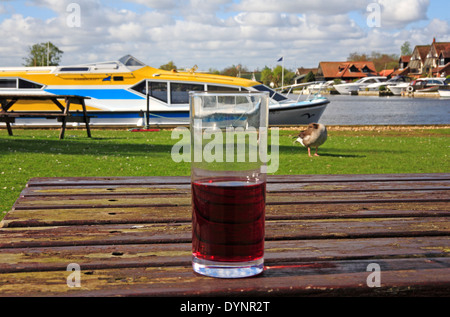 Eine halb leere Bierglas auf einem Picknick-Tisch von dem Fluss Bure am Horning, Norfolk, England, Vereinigtes Königreich. Stockfoto