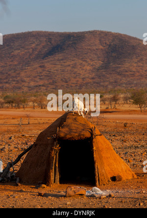 Unterstand für die Ziegen In einem traditionellen Himba-Dorf, Epupa, Namibia Stockfoto