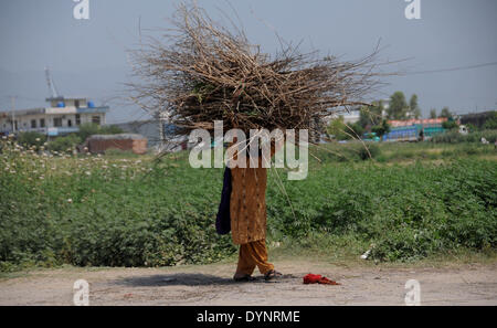 ISLAMABAD, PAKISTAN-APRIL 23: Ein afghanischer Flüchtling Frau Brennholz auf dem Kopf trägt, wie sie ihren Weg zurück nach Hause in die Armenviertel am Stadtrand von Islamabad, Pakistan macht. Mehr als fünf Millionen afghanischen Flüchtlinge flohen ihre Heimat seit sowjetischen Invasion der 1970er Jahre. Rund 3,6 Millionen afghanischen Flüchtlinge haben nach Afghanistan aus Pakistan seit März 2002 unter ein Dreierabkommen zwischen UN Refugee Agency (UNHCR) und die Regierungen von Pakistan und Afghanistan zurückgeführt worden. Mehr als 1,6 Millionen afghanische Flüchtlinge in Pakistan, insbesondere in Lagern und Slums Leben und nicht Stockfoto