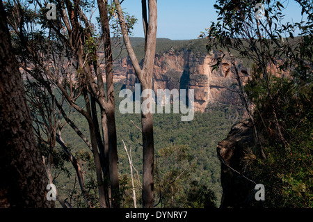 Der Blick von Evans Lookout über Govetts Creek in den Blue Mountains, New South Wales, Australien. Stockfoto