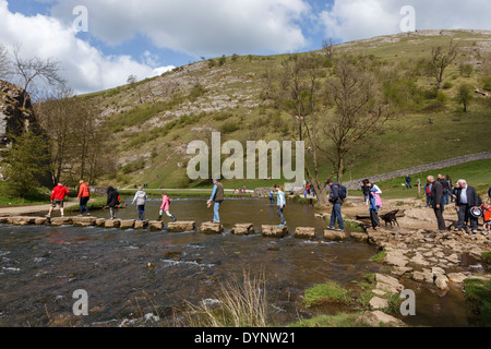 Stepping Stones Dovedale Derbyshire Peak District England uk Stockfoto