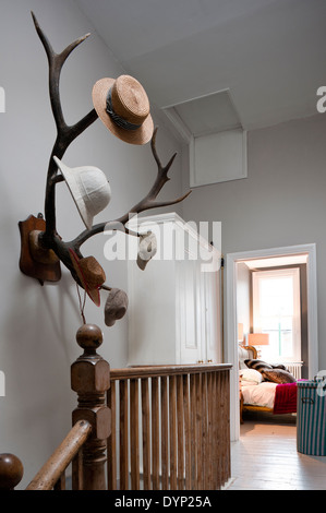 Geweih Doppel, als eine Hutablage montiert, an der Wand ein Podest mit Geländer aus Holz Stockfoto