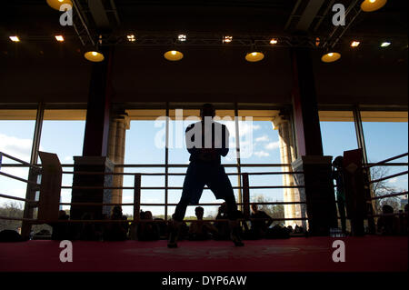 Moskau, Russland. 23. April 2014. Ein offenes Training des Weltmeisters in der ersten WBA Schwergewichts-Champion Denis Lebedev in einem Boxclub. Bildnachweis: Anna Sergeeva/ZUMAPRESS.com/Alamy Live-Nachrichten Stockfoto