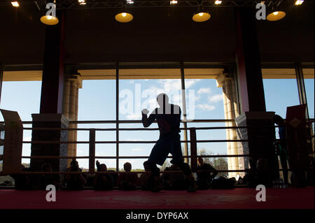 Moskau, Russland. 23. April 2014. Ein offenes Training des Weltmeisters in der ersten WBA Schwergewichts-Champion Denis Lebedev in einem Boxclub. Bildnachweis: Anna Sergeeva/ZUMAPRESS.com/Alamy Live-Nachrichten Stockfoto