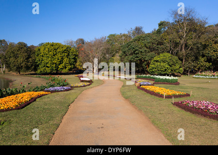 Gasse in den nationalen Kandawgyi botanischen Gärten im Pyin U Lwin, Myanmar Stockfoto