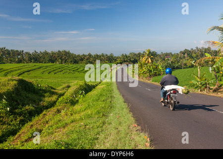 Asphaltierte Straße zwischen Antosari und Belimbing, Tabanan Regency, Bali, Indonesien Stockfoto