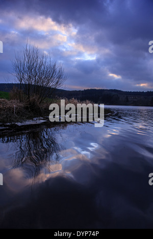 Einsamer Baum Silhouette gegen den Winter Sonnenuntergang und spiegelt sich in den ruhigen Gewässern des Llwyn Onn reservoir Stockfoto