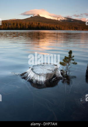 Wolken bedecken den Gipfel des Mount Washington in der Nähe von Big Lake Stockfoto