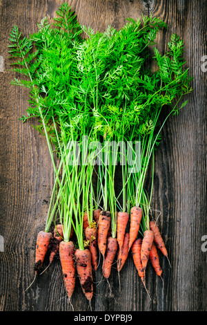 Rosenstrauss orange Karotten frisch vom Garten mit Schmutz auf alten rustikalen Holz Hintergrund Stockfoto