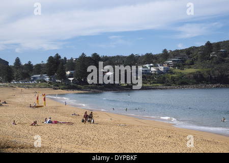 Blick nach Norden entlang Avalon Beach, einem der berühmten Nordstrände von Sydney, New South Wales, Australien Stockfoto