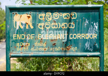 Elephant Crossing Zeichen in Dambulla, Sri Lanka 5 Stockfoto