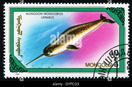 Mongolei - CIRCA 1990: Eine Briefmarke gedruckt in der Mongolei, zeigt der Narwal (Monodon Monoceros Linnaeus), circa 1990 Stockfoto