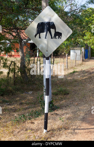 Elephant Crossing Zeichen in Dambulla, Sri Lanka Stockfoto