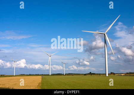 Windmühle auf einem Feld, die Niederlande Stockfoto