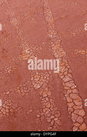 Lake Ballard wo ANTONY GORMLEY Gusseisen Skulpturen, in der Nähe von Menzies Westaustralien platziert sind Stockfoto