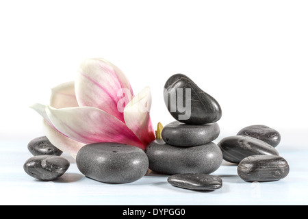 Zen Steinen mit Blume Magnolia. Stockfoto