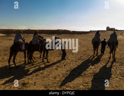 Kamelritt in die Wüste Sahara in Tunesien Stockfoto