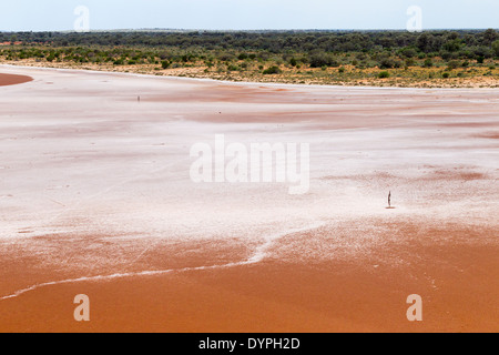 Lake Ballard wo ANTONY GORMLEY Gusseisen Skulpturen, in der Nähe von Menzies Westaustralien platziert sind Stockfoto