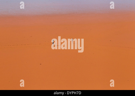 Lake Ballard wo ANTONY GORMLEY Gusseisen Skulpturen, in der Nähe von Menzies Westaustralien platziert sind Stockfoto