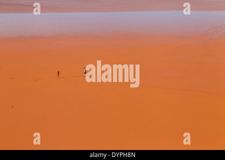 Lake Ballard wo ANTONY GORMLEY Gusseisen Skulpturen, in der Nähe von Menzies Westaustralien platziert sind Stockfoto