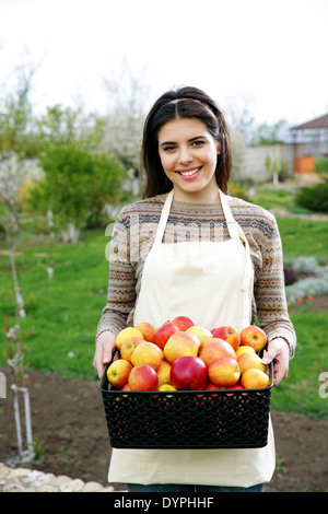 Junge Frau hält Korb mit Äpfeln im Garten Stockfoto